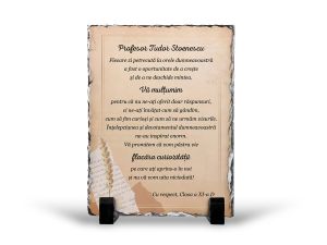 Placheta personalizata profesor