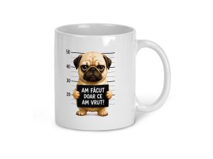 Cana amuzanta "Am facut doar ce am vrut"