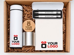 Set Cadou Corporate Personalizat Model 301